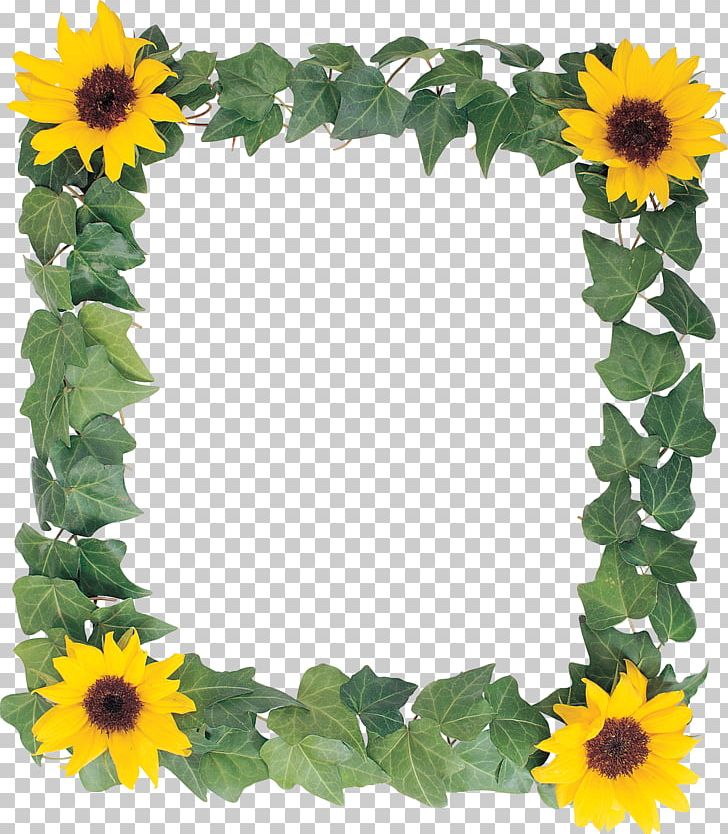 Common Sunflower Frames PNG, Clipart, Annual Plant, Common Sunflower, Cut Flowers, Daisy Family, Digital Photo Frame Free PNG Download
