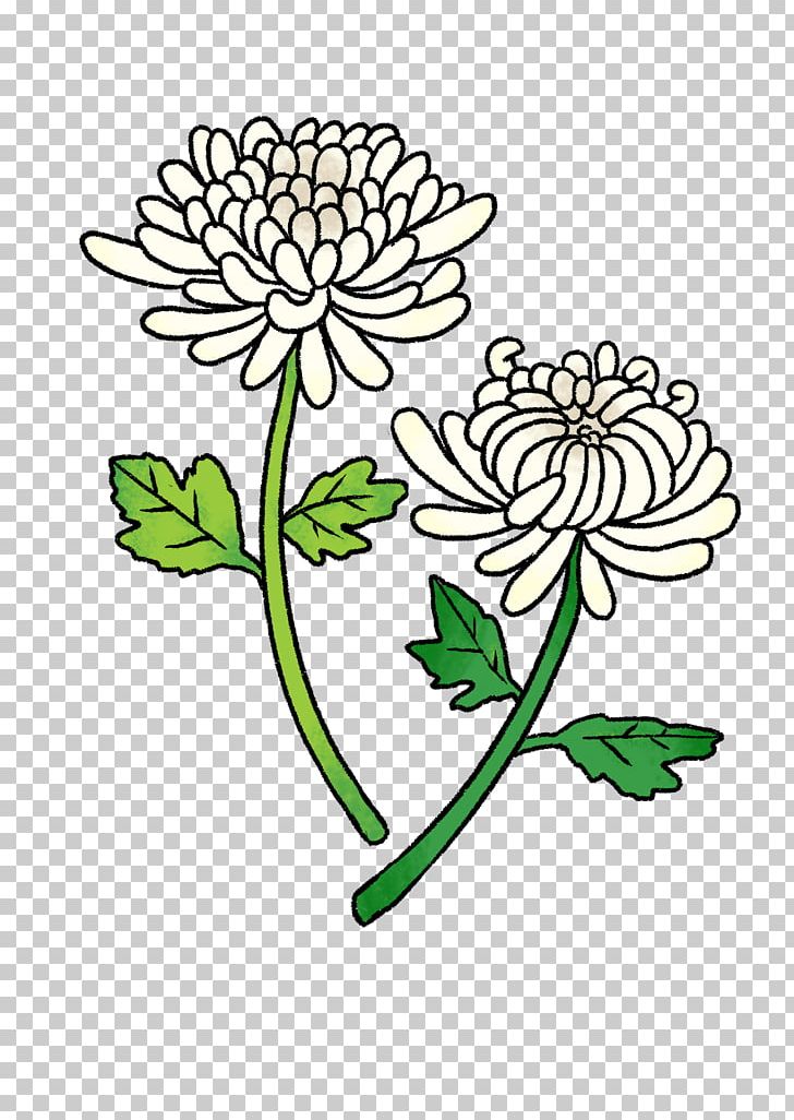 Floral Design Cut Flowers Oxeye Daisy Chrysanthemum PNG, Clipart, Art, Artwork, Chrysanthemum, Chrysanths, Cut Flowers Free PNG Download