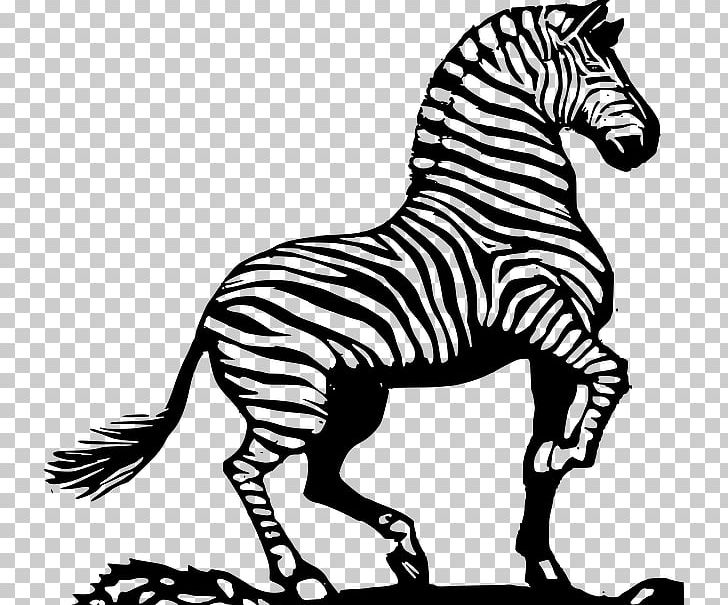 Zebra PNG, Clipart, Animal Figure, Animals, Black And White, Download, Fauna Free PNG Download