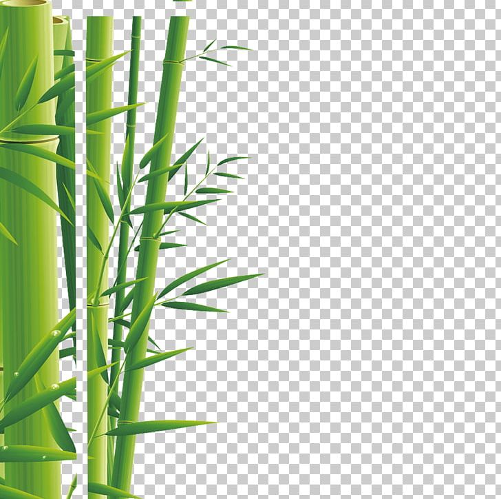 Zongzi Bamboo Steamer U7aefu5348 Baozi PNG, Clipart, Angle, Bamboo, Bamboo Border, Bamboo Frame, Bamboo Leaf Free PNG Download