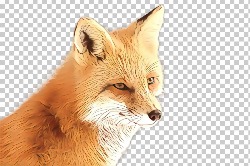 Red Fox Fox Fennec Fox Wildlife Swift Fox PNG, Clipart, Fennec Fox, Fox, Red Fox, Snout, Swift Fox Free PNG Download