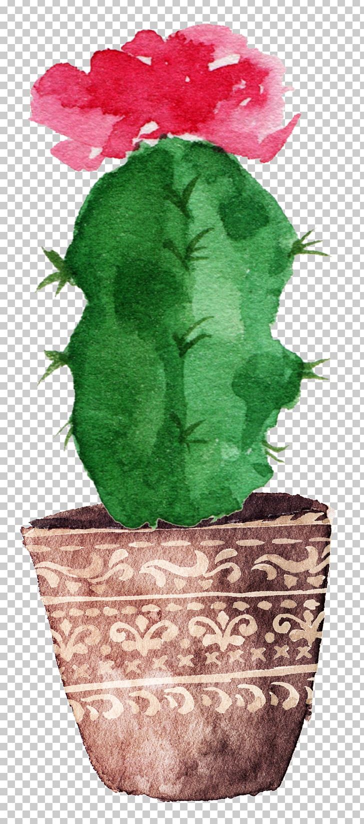 Cactaceae Watercolor Painting Drawing Canvas PNG, Clipart, Bloom, Blooming, Cactus, Cactus Cartoon, Cactus Flowers Free PNG Download