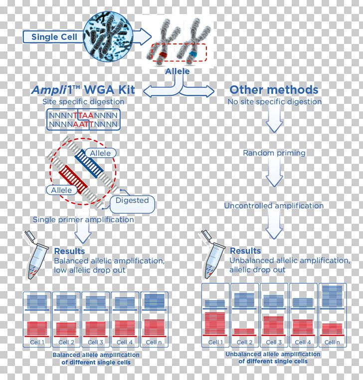DNA Sequencing Single-nucleotide Polymorphism Next Generation Sequencing Microsatellite PNG, Clipart, Blue, Brand, Cell, Comparative Genomic Hybridization, Diagram Free PNG Download