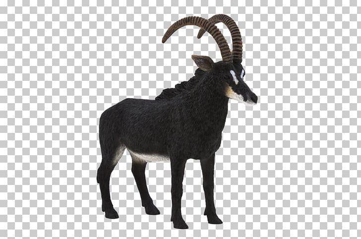 Goat Pronghorn Sable Antelope Cattle PNG, Clipart, Animal, Animal Planet, Animals, Antelope, Child Free PNG Download