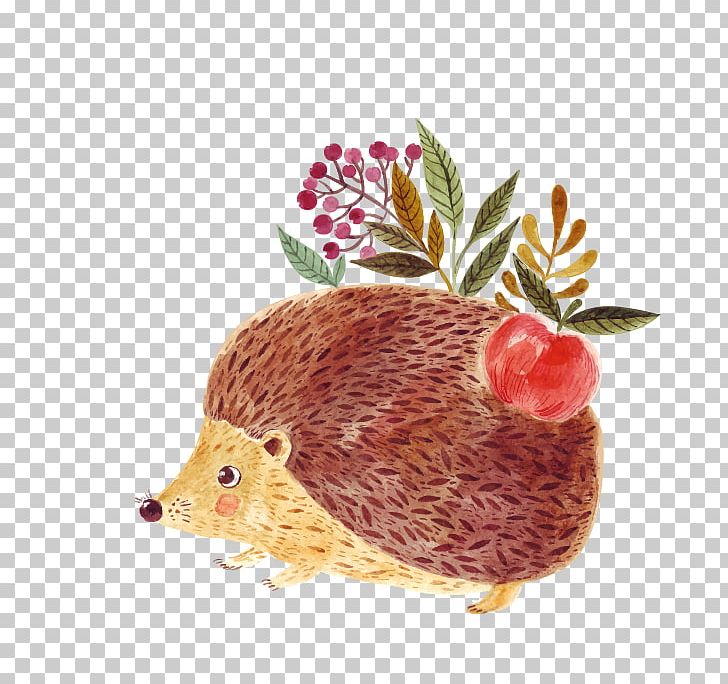 Hedgehog Euclidean Illustration PNG, Clipart, Animals, Animals Hedgehog, Cartoon, Cartoon Hedgehog, Cute Hedgehog Free PNG Download