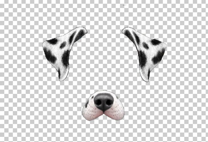 Dalmatian Dog Snapchat PNG, Clipart, Ariana, Body Jewelry, Carnivoran, Dalmatian, Dalmatian Dog Free PNG Download