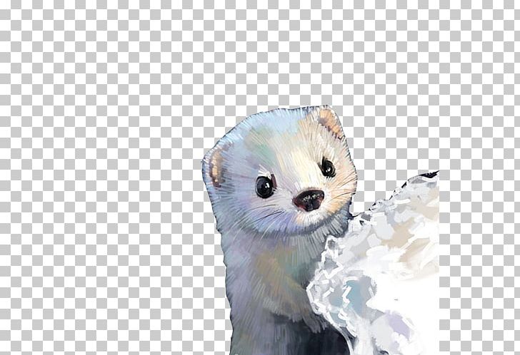 Ferret China Cat DianPing Illustration PNG, Clipart, Animal, Animals, Art, Carnivoran, Cartoon Free PNG Download