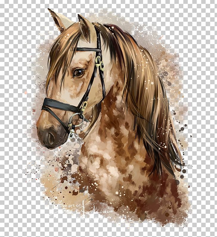 Horse Pony Watercolor Painting Drawing PNG, Clipart, Animals, Art, Bridle, Deviantart, Equestrian Free PNG Download