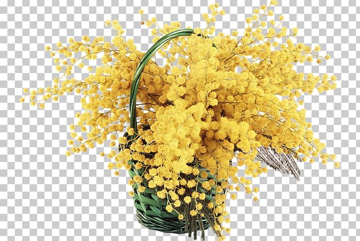 Mimosa Salad Cocktail PNG, Clipart, Bellini, Branch, Cocktail, Commodity, Cut Flowers Free PNG Download