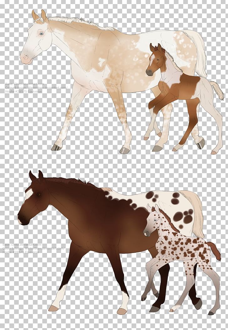 Mustang Pony Foal Mare Halter PNG, Clipart,  Free PNG Download
