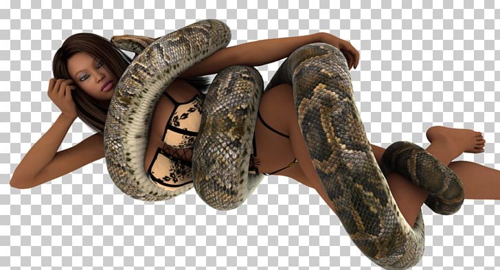 Boa Constrictor Snake Female Constriction Woman PNG, Clipart, Animals, Art, Boa Constrictor, Boas, Charmer Free PNG Download