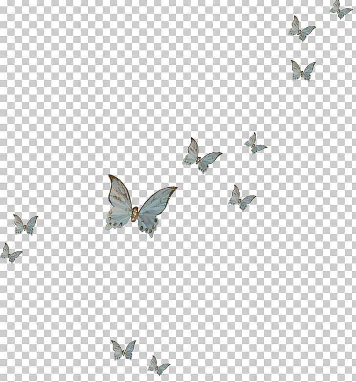 Butterfly Insect PNG, Clipart, Angle, Blog, Butterflies, Butterfly, Butterfly Group Free PNG Download