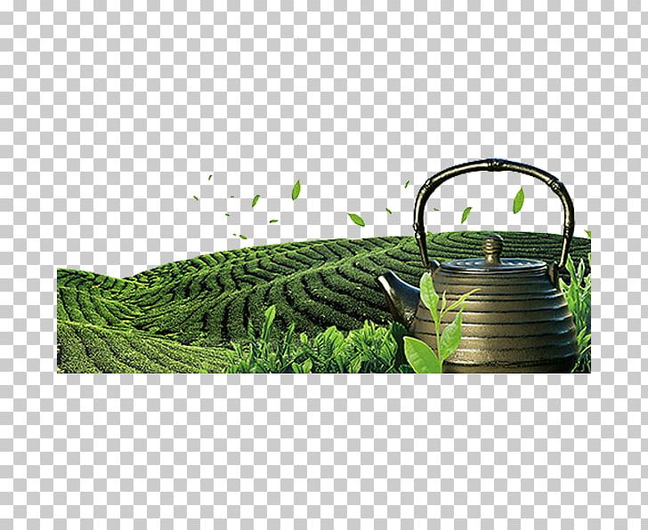 Tea Garden PNG, Clipart, Background Green, Brand, Designer, Download, Encapsulated Postscript Free PNG Download