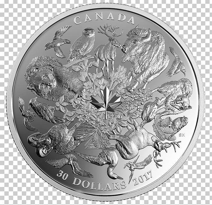 Coin 150th Anniversary Of Canada Silver Flora PNG, Clipart, Black And White, Canada, Coin, Coin Grading, Currency Free PNG Download