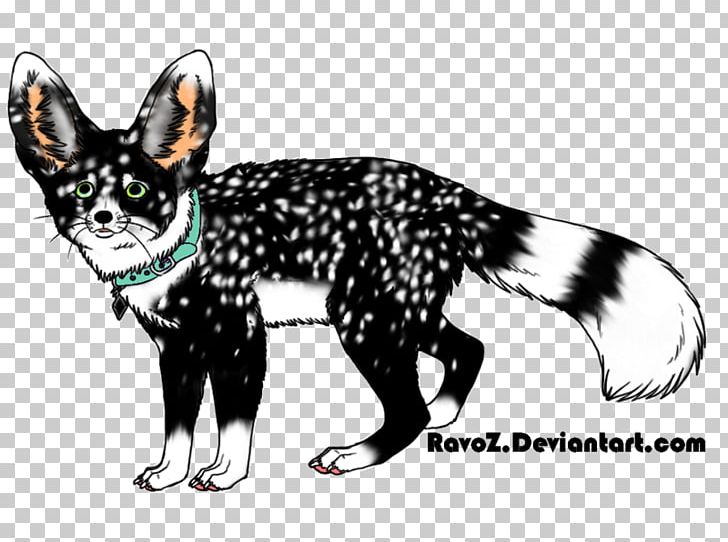 Marten Dog Cat Canidae Fox PNG, Clipart, Animals, Canidae, Carnivora, Carnivoran, Cat Free PNG Download