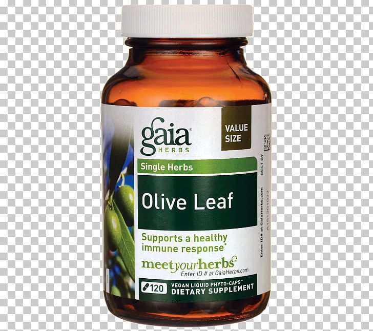 Gaia Herbs Olive Leaf PNG, Clipart, Diet, Dietary Supplement, Liter, Olive, Olive Leaf Free PNG Download