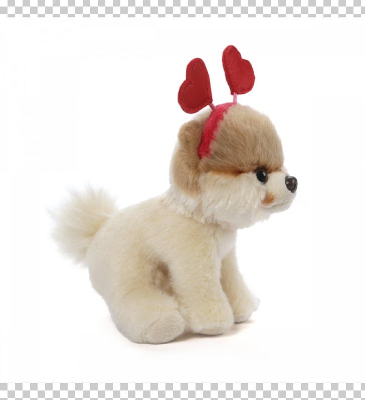 Pomeranian Stuffed Animals & Cuddly Toys Gund Boo Plush PNG, Clipart, Amazoncom, Boo, Carnivoran, Companion Dog, Dog Free PNG Download