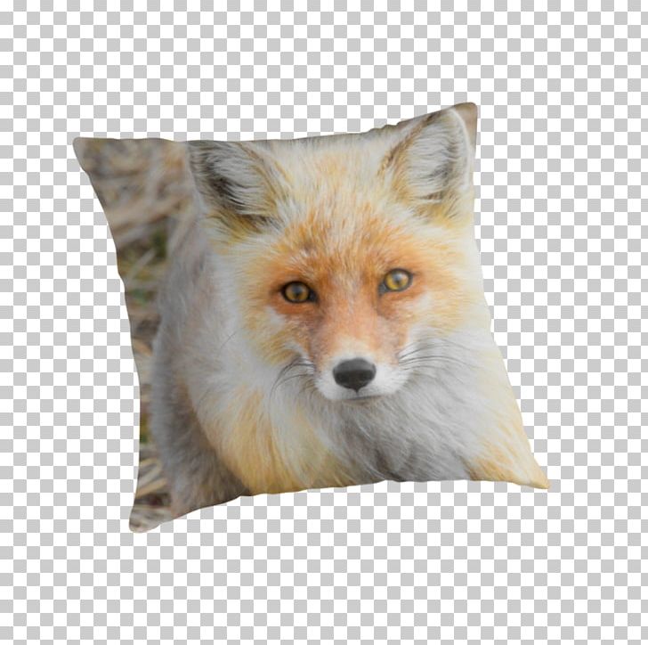 Red Fox Fur Snout Wildlife PNG, Clipart, Animals, Cushion, Dog Like Mammal, Fox, Fox Material Free PNG Download