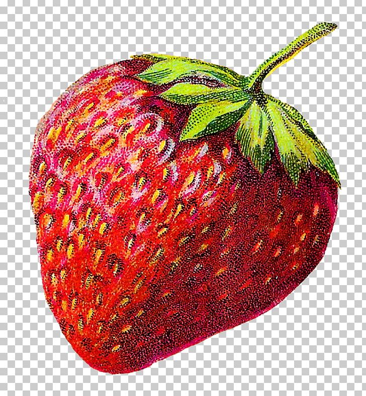 Strawberry Accessory Fruit Apple PNG, Clipart, Accessory Fruit, Apple, Art Illustration, Clip, Downloads Free PNG Download