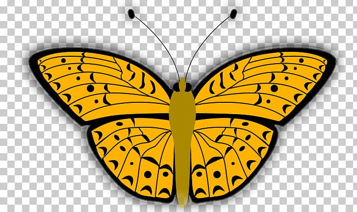 Butterfly Insect Drawing PNG, Clipart, Animal, Animals, Brush Footed Butterfly, Bug, Butterflies And Moths Free PNG Download