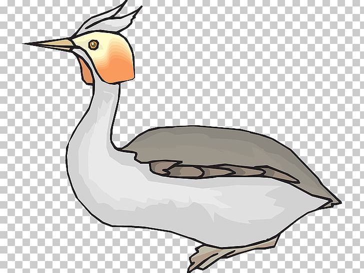 Duck Bird Goose Woodpecker PNG, Clipart, Animals, Artwork, Beak, Bird, Clip Art Free PNG Download