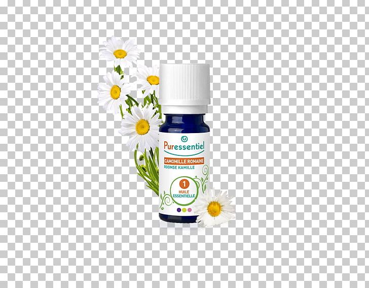 Essential Oil Pharmacy Aroma Eucalyptus Radiata PNG, Clipart, Aroma, Body, Chamaemelum Nobile, Child, Essential Oil Free PNG Download