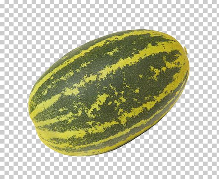 Honeydew Pickled Cucumber Watermelon Vegetable PNG, Clipart, Citrullus, Cucumber, Cucumber Gourd And Melon Family, Cucumis, Cucurbita Free PNG Download