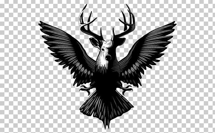 Eagle Supernatural Feather Legendary Creature Beak PNG, Clipart, Animals, Beak, Bird, Bird Of Prey, Black And White Free PNG Download