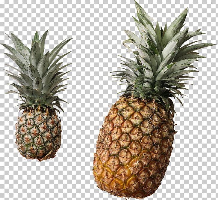 Juice Pineapple Canning Tin Can Fruit PNG, Clipart, Ananas, Apple, Bromelain, Bromeliaceae, Canning Free PNG Download