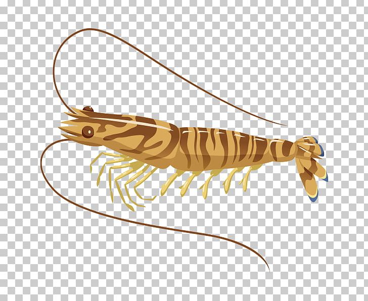 Kuruma Prawn Sashimi Decapoda Okonomiyaki Senbei PNG, Clipart, Animal Source Foods, Bone, Cheburashka Goes To School, Decapoda, Fish Free PNG Download