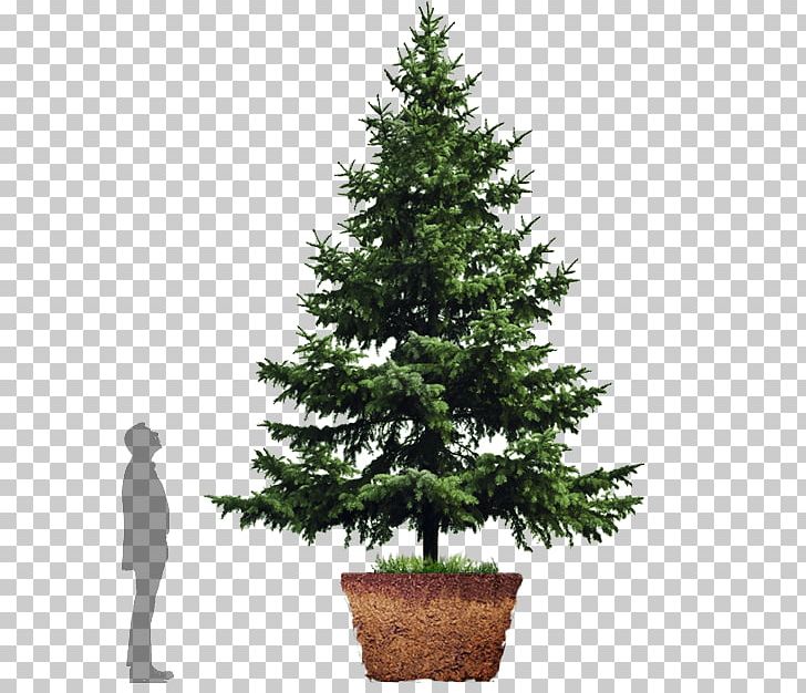 Artificial Christmas Tree Stock Photography PNG, Clipart, Artificial Christmas Tree, Branch, Christmas, Christmas Decoration, Christmas Lights Free PNG Download
