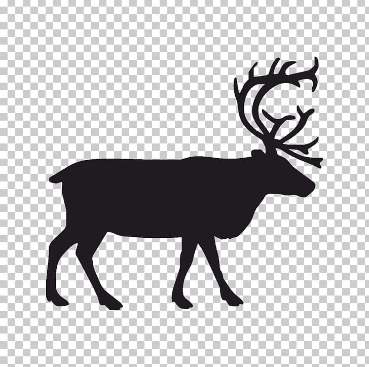 Deer Graphics Portable Network Graphics PNG, Clipart, Antler, Black And White, Cattle Like Mammal, Deer, Elk Free PNG Download