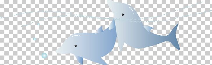 Dolphin Logo Brand PNG, Clipart, Angle, Animals, Balloon Cartoon, Blue, Boy Cartoon Free PNG Download