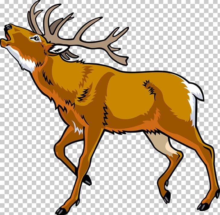 Elk Red Deer PNG, Clipart, Animals, Antler, Artwork, Balloon Cartoon, Cartoon Free PNG Download