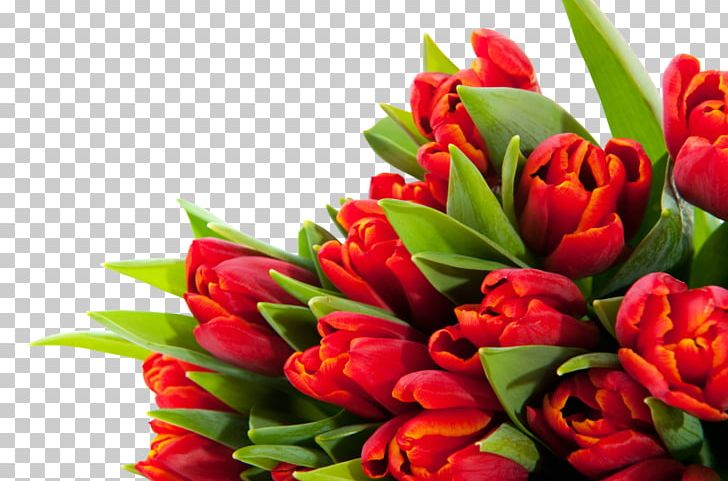 Tulip Floral Design Cut Flowers Flower Bouquet PNG, Clipart, Cut Flowers, Floral Design, Floristry, Flower, Flower Arranging Free PNG Download