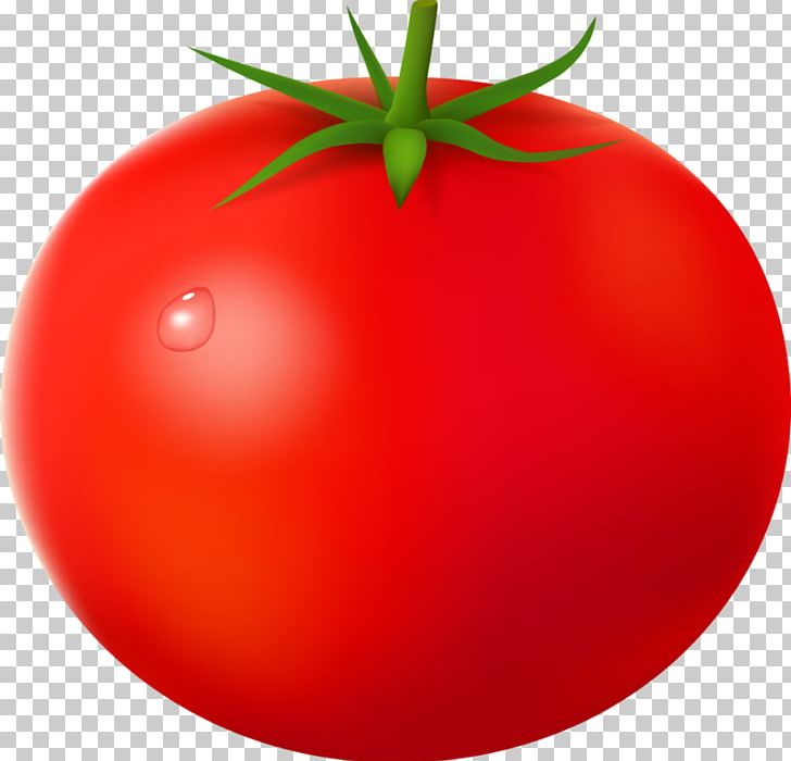 Cherry Tomato Pear Tomato Vegetable PNG, Clipart, Apple, Bell Pepper, Bush Tomato, Cherry Tomato, Computer Icons Free PNG Download