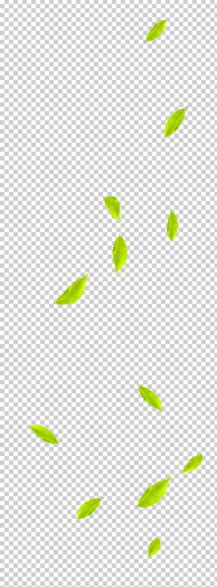 Leaf Green PNG, Clipart, Angle, Area, Background Green, Cartoon, Designer Free PNG Download