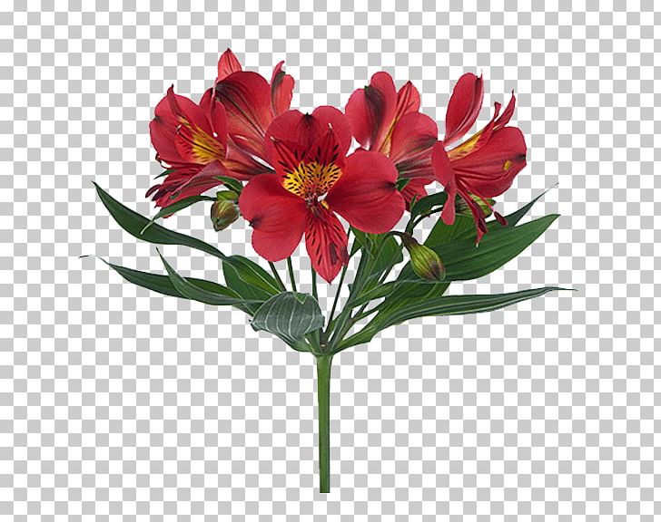 Lily Of The Incas Cut Flowers Floral Design Flower Bouquet PNG, Clipart, Alstroemeriaceae, Annual Plant, Artificial Flower, Assortment Strategies, Blume Free PNG Download