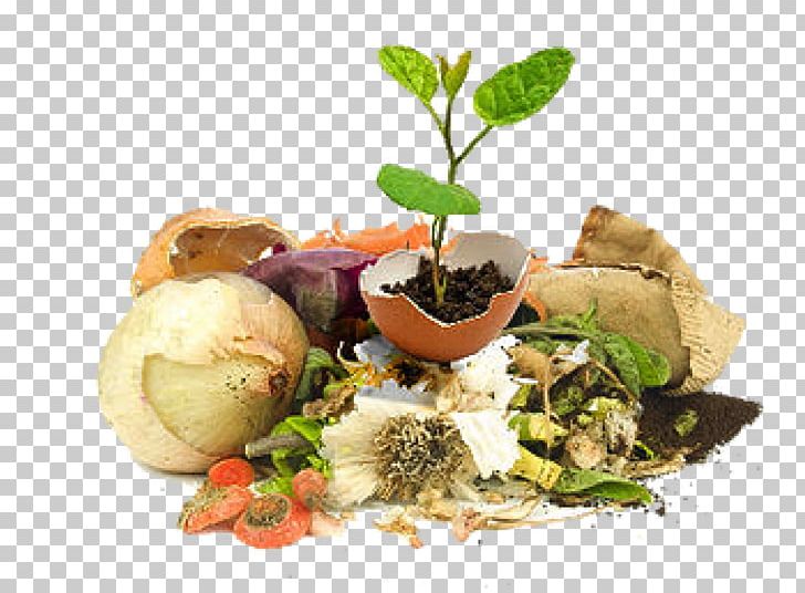 Organic Food Food Waste Compost PNG, Clipart, Appetizer, Cuisine, Food, Grocery Store, Leaf Vegetable Free PNG Download