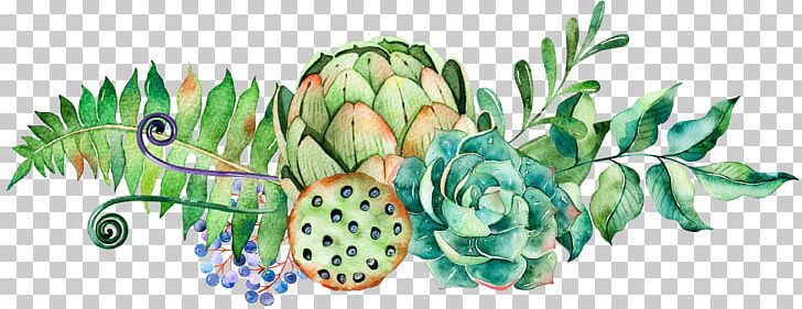 Watercolor Painting Succulent Plant Cactaceae PNG, Clipart, Ananas, Bromeliaceae, Color, Decoration, Download Free PNG Download