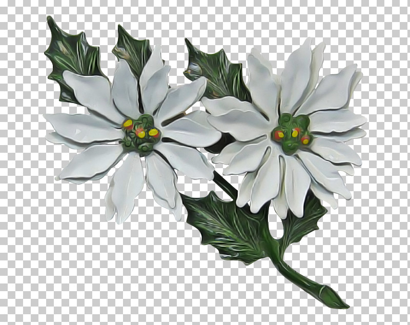 Flower Plant Petal Leaf Wildflower PNG, Clipart, African Daisy, Anemone, Bloodrootsanguinaria Canadensis, Flower, Leaf Free PNG Download