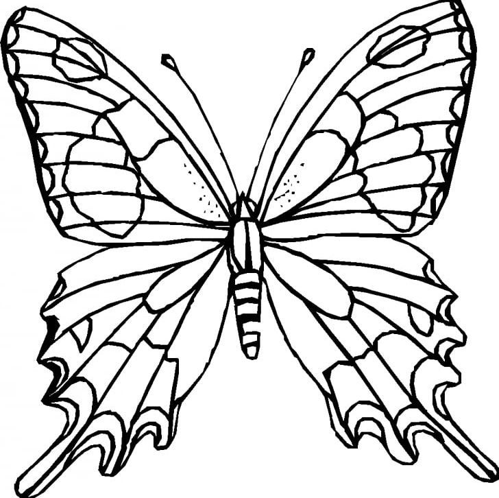 Monarch Butterfly Outline Coloring Book PNG, Clipart, Adult, Animal, Black And White, Black And White Outline Pictures, Brush Footed Butterfly Free PNG Download