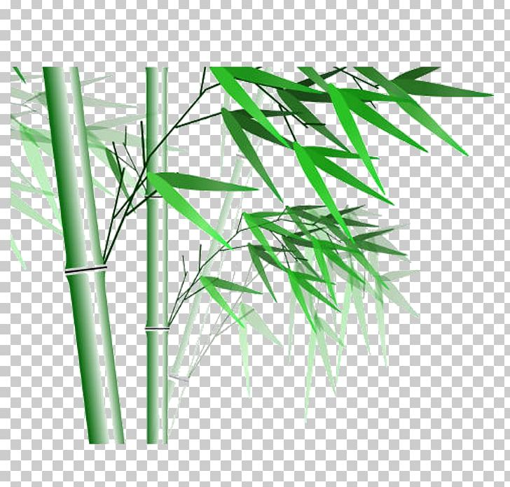 Bamboo Computer File PNG, Clipart, Angle, Bamboo Border, Bamboo Frame, Bamboo Leaf, Bamboo Leaves Free PNG Download