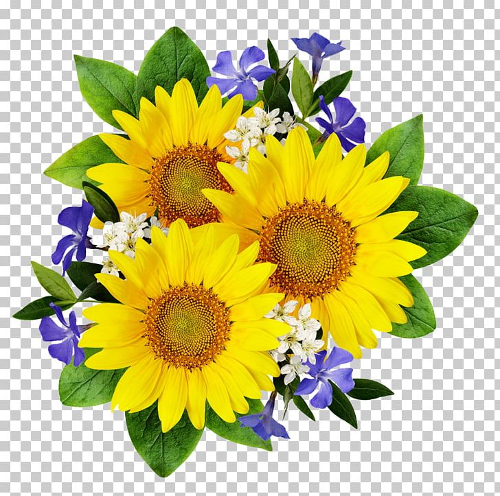 Common Sunflower Stock Photography Flower Bouquet PNG, Clipart, Annual Plant, Chrysanthemum, Daisy Family, Flower, Flower Arranging Free PNG Download