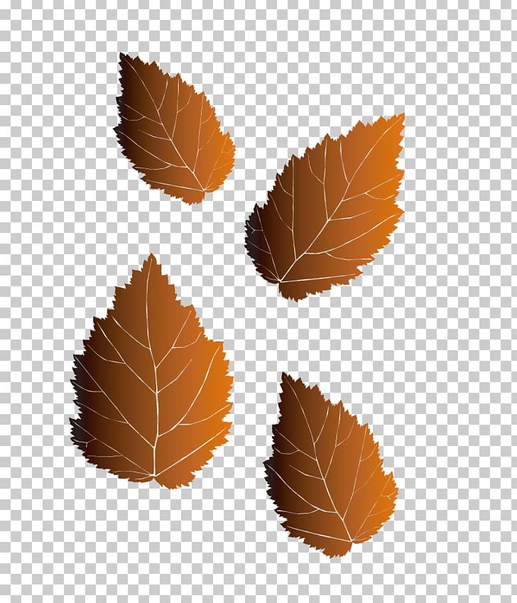 Leaf Illustration PNG, Clipart, Autumn, Autumn Leaf, Brown, Deciduous, Encapsulated Postscript Free PNG Download