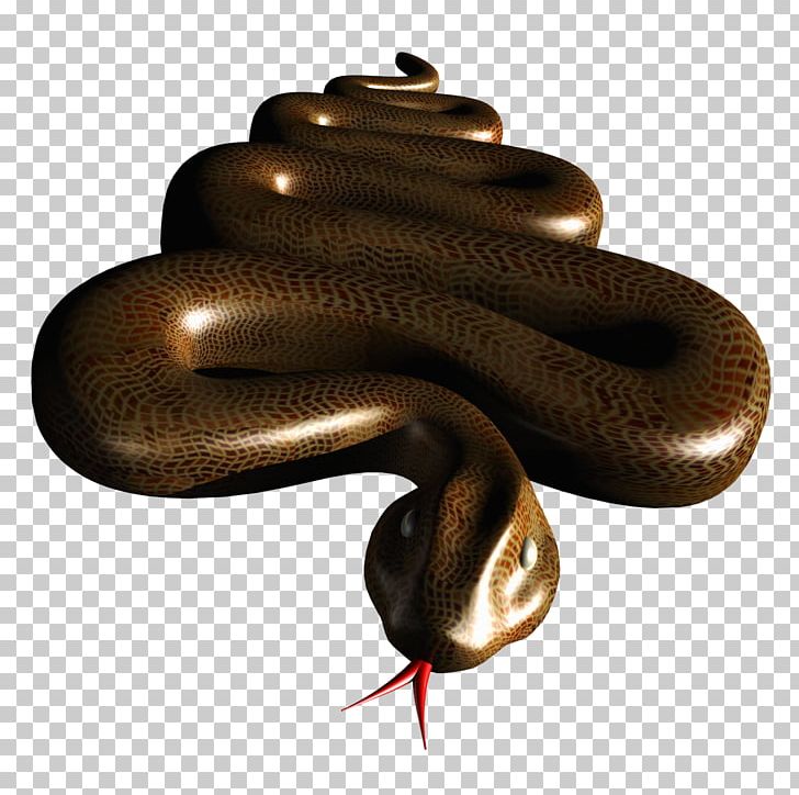 Boa Constrictor Kingsnakes PNG, Clipart, Boa Constrictor, Boas, Kingsnake, Kingsnakes, Reptile Free PNG Download