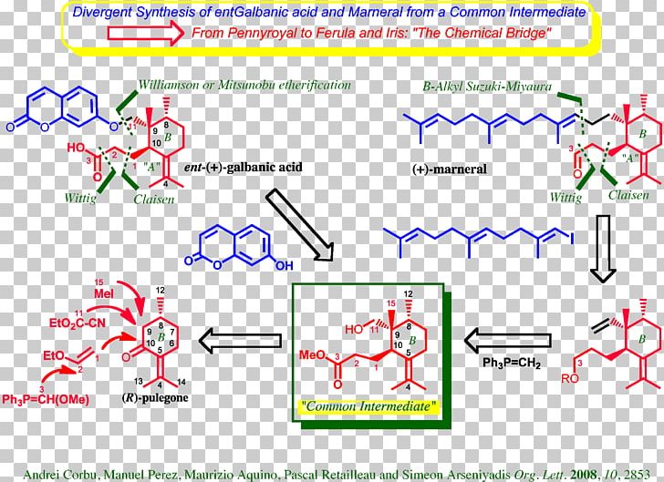 Chirality Ether Total Synthesis Chemical Synthesis Chemistry PNG, Clipart, Acid, Angle, Area, Asymmetric Carbon, Chemical Compound Free PNG Download