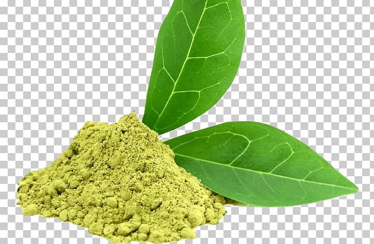Green Tea Dietary Supplement Epigallocatechin Gallate Extract PNG, Clipart, Antioxidant, Black Tea, Catechin, Dietary Supplement, Food Free PNG Download