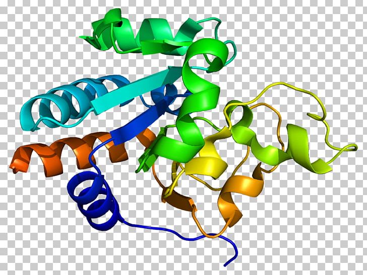 NNT Monoamine Oxidase Protein Number Needed To Treat Enzyme PNG, Clipart, Animal Figure, Artwork, Enzyme, Enzyme Inhibitor, Gene Free PNG Download
