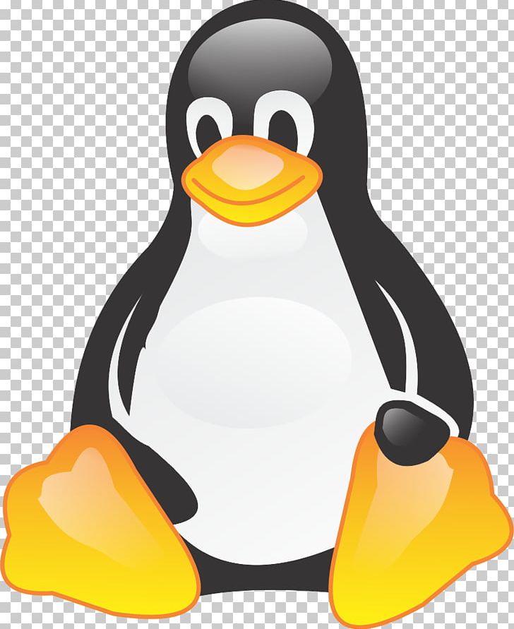 Penguin Tux Linux Operating Systems PNG, Clipart, Android, Animals, Beak, Bird, Computer Network Free PNG Download